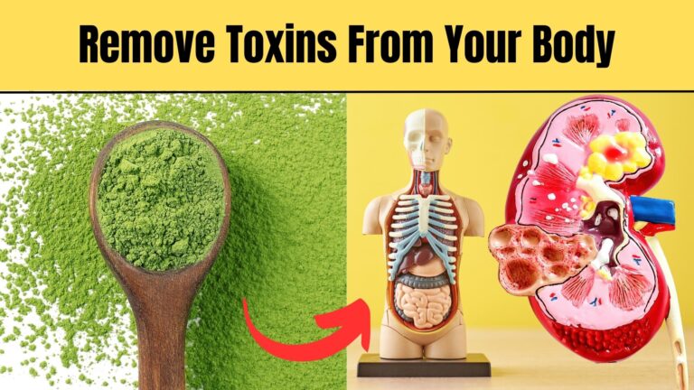 foods that remove toxins from your body,foods to remove toxins,liver cleansing foods,best way to remove toxins from your body,foods good for liver,how to remove bad toxins from body,foods for detox,take out the toxins from your body,best foods for detox,toxins,best way to remove toxins,detox foods,foods to cleanse body,foods for detoxification,free your body from toxins,get rid of toxins,foods that naturally cleanse your body,detox body natural foods