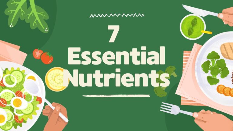 7 Essential Nutrients: What Fuels Your Body and Supports Health